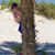 Linda Richards Moore's profile image