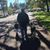 Janet Wiesner's profile image