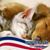 Terria Davisson's profile image