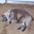 Jeanine Spangenberg Clontz's profile image