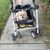 Sherrie Neely's profile image
