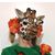 Gabrielle DeWitt's profile image