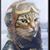 Gt Avellon's profile image