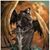 Rene Oropeza's profile image