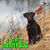 Ian Brownell's profile image