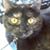 Yolanda Garza's profile image