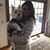 Lindsey Sullivan's profile image