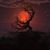 Vickie M. Lackey's profile image