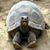 Adrian Garrabrant's profile image