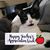 Missie Kovaleski Miller's profile image