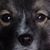 Jean Sydney's profile image