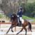 Marni Simon's profile image