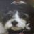 Jennie Everman's profile image