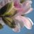 Jeannie Busby's profile image
