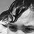 Dina Bradt's profile image