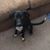 Suzanne J. Stender's profile image
