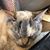 Julie Lamberth's profile image