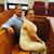 Shawna Bruemmer's profile image