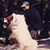 S.e. Tice's profile image
