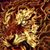 Sanmey Haldankar's profile image