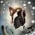 Dina Stanley's profile image