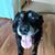 Dave Cellan's profile image
