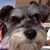 Sherrye Palmer's profile image