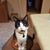 Robin Joesph DeRushia Kempf's profile image