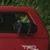 Tj Holley's profile image
