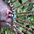 Myrys Ar's profile image