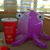 Lisa Utley's profile image