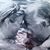 Michelle Davis Carter's profile image