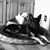 Dorie Shoutz Jessen's profile image