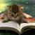 Mary Towles's profile image