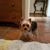 Jeff Killeen's profile image