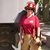 Jennifer King's profile image