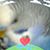 Kiara Hernandez's profile image