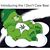 Christopher Bumpass's profile image