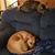 Carlene Bennett's profile image