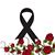 Irene Montes's profile image
