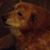 Beth Knott's profile image