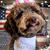 Terry Richards's profile image