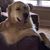 Nicole Forgie-Garvey's profile image