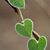 Linda Stuver's profile image