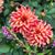 Kimberly Blaydes Schroeder's profile image