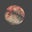 DV's profile image