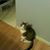 Gerri Kuhns's profile image