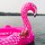 Andria Kramer Lenzen's profile image