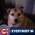 Brian Boland's profile image