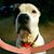 Shelley Gardner Hinson's profile image
